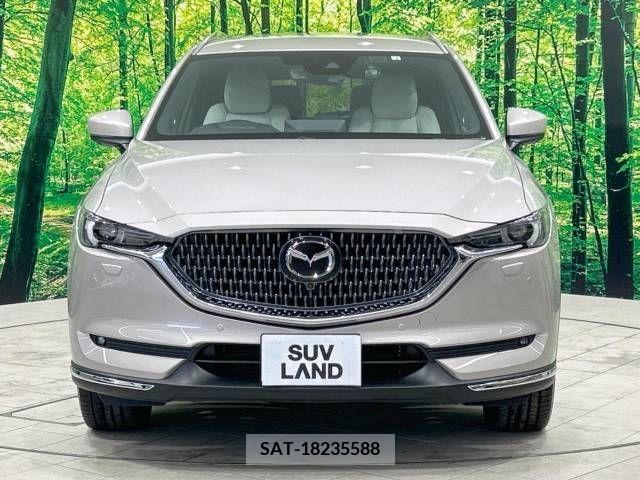Mazda CX-8 2022-02 380309-14