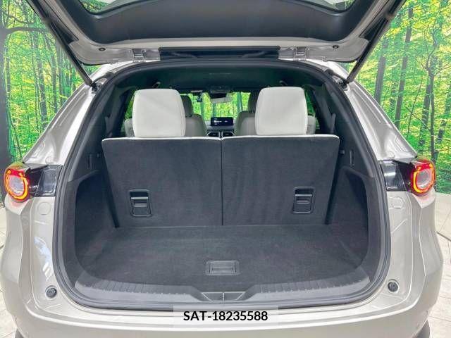 Mazda CX-8 2022-02 380309-11