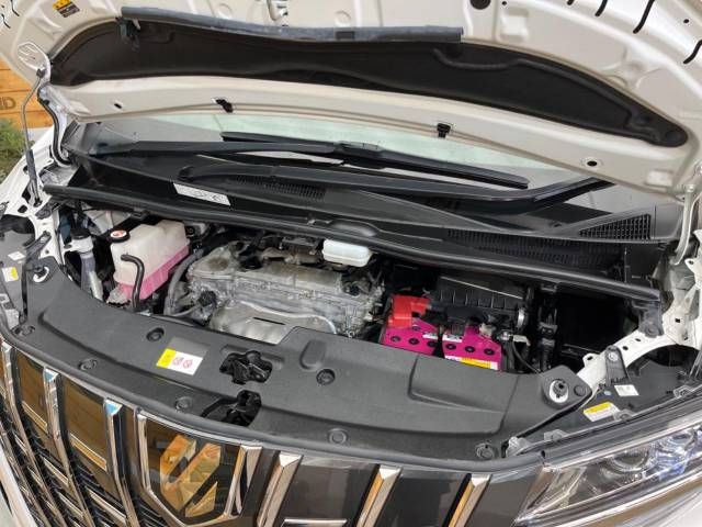 Toyota ALPHARD 2020-12 10659-18