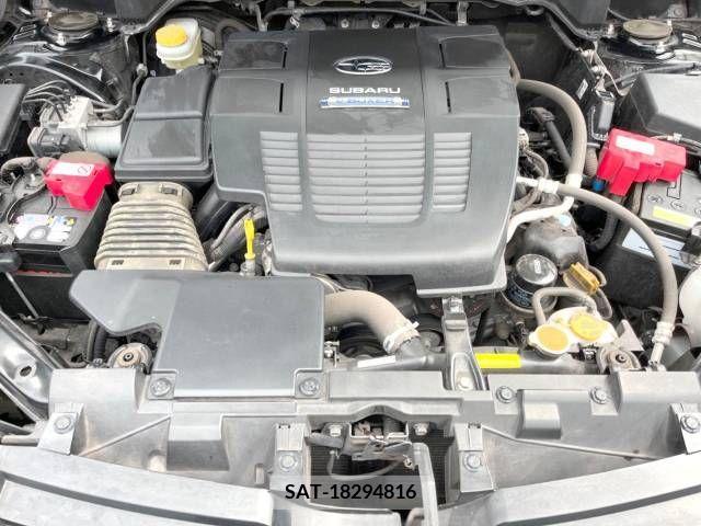 Subaru FORESTER 2019-09 246471-13