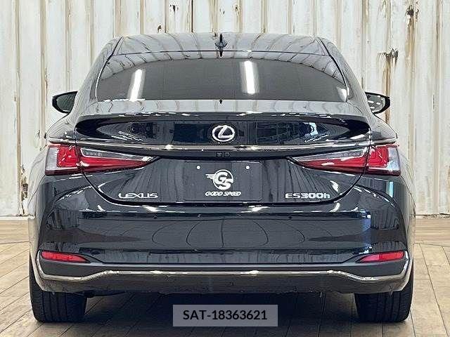 Lexus ES 2019-05 300392-12