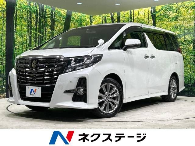 Toyota ALPHARD 2017-06 181302-0