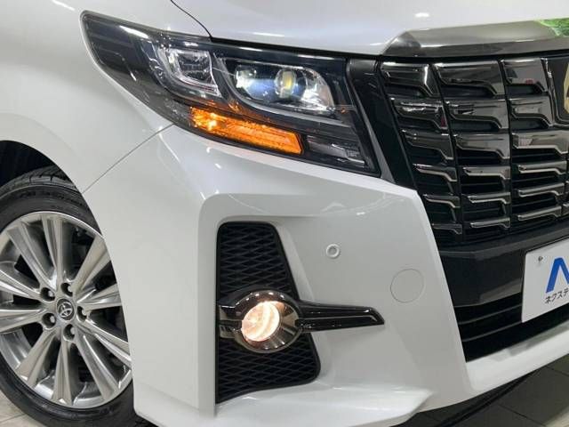 Toyota ALPHARD 2017-06 181302-13
