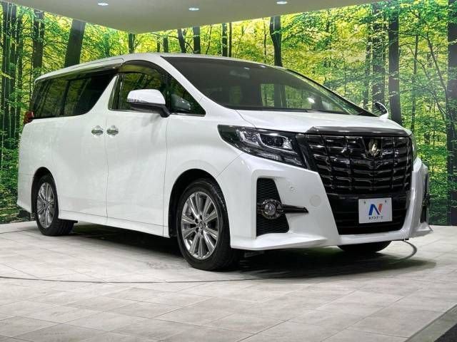 Toyota ALPHARD 2017-06 181302-17