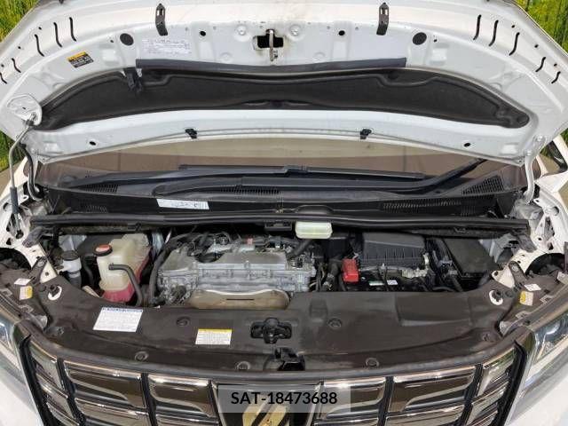 Toyota ALPHARD 2017-06 204893-19