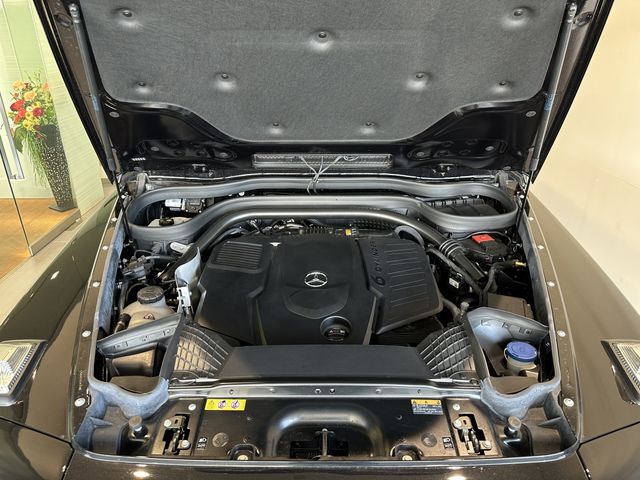 Mercedes Benz G-CLASS 2023-02 190487-3