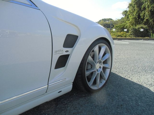 Mercedes Benz S-CLASS 2009-06 14566-18