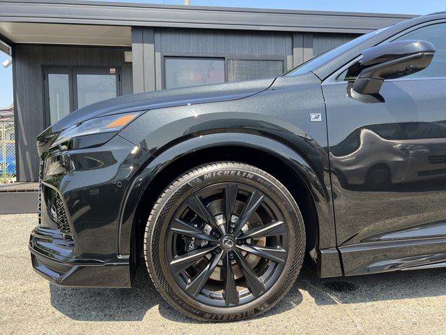 Lexus RX 2023-03 17749-5