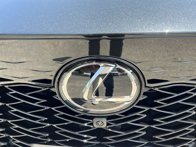 Lexus RX 2023-03 17749-13