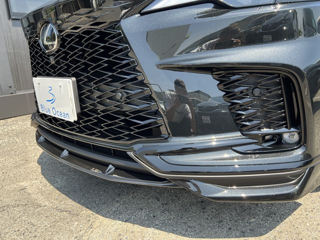 Lexus RX 2023-03 17749-4