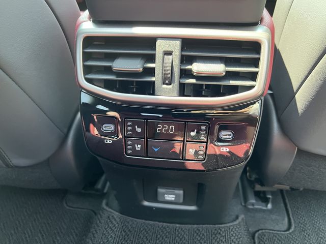 Lexus RX 2023-03 17749-26
