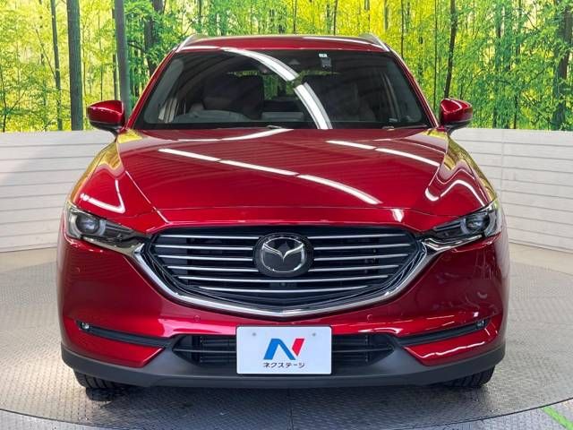 Mazda CX-8 2019-07 17838-15