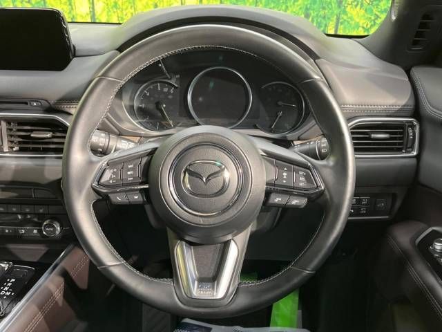 Mazda CX-8 2019-07 17838-11