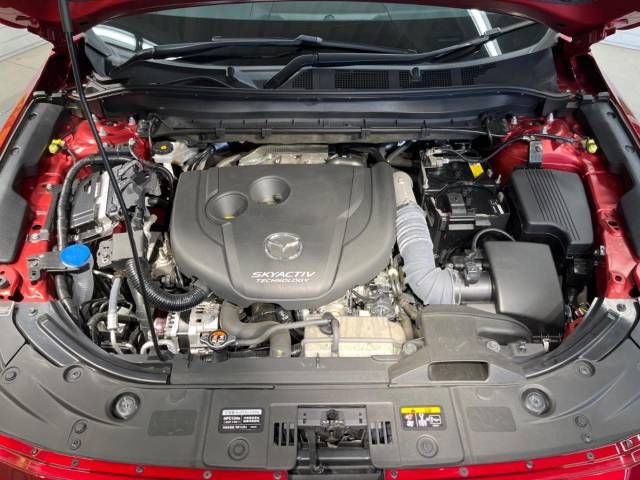 Mazda CX-8 2019-07 17838-18