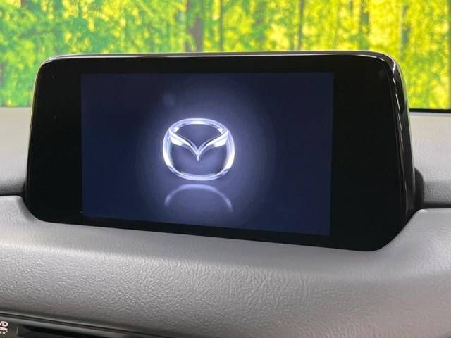Mazda CX-8 2019-07 17838-3