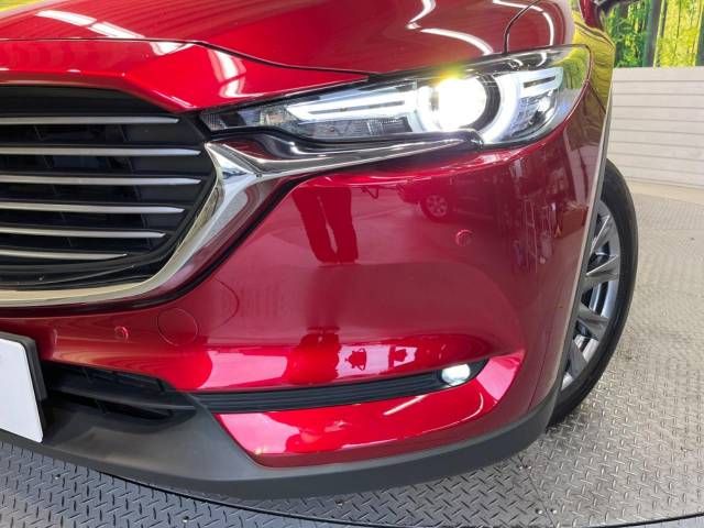 Mazda CX-8 2019-07 17838-13