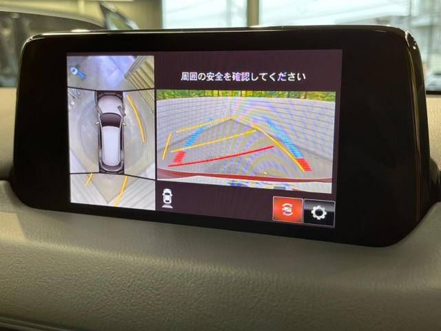 Mazda CX-8 2019-07 17838-2