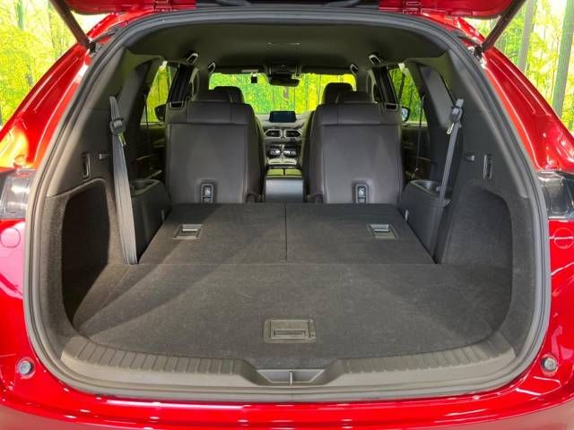 Mazda CX-8 2019-07 17838-12