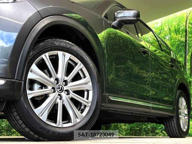 Mazda CX-8 2021-03 266189-12