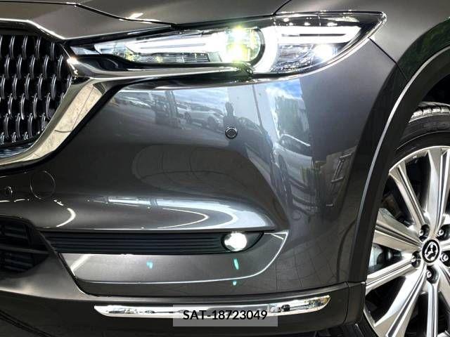 Mazda CX-8 2021-03 266189-11