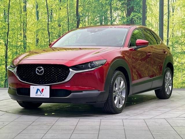 Mazda CX-30 2021-04 23880-16