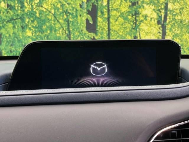 Mazda CX-30 2021-04 23880-2