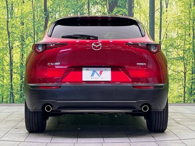Mazda CX-30 2021-04 23880-15