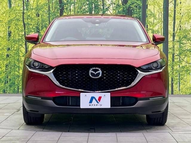 Mazda CX-30 2021-04 23880-14