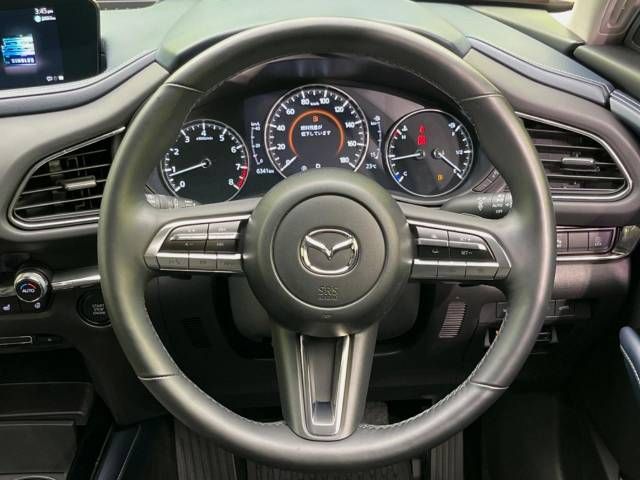 Mazda CX-30 2021-04 23880-11