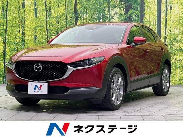 Mazda CX-30 2021-04 23880-0