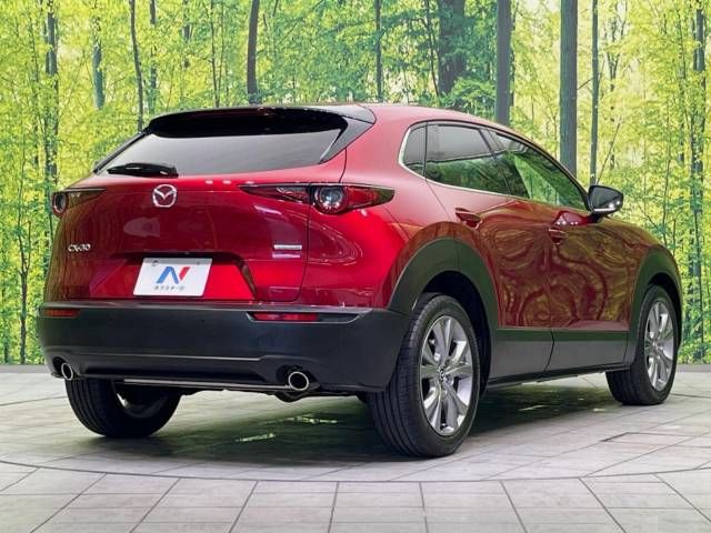 Mazda CX-30 2021-04 23880-17