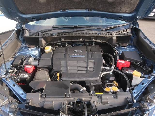 Subaru FORESTER 2018-09 195623-18