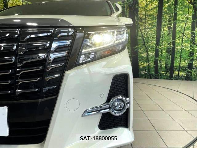 Toyota ALPHARD 2017-11 389046-11
