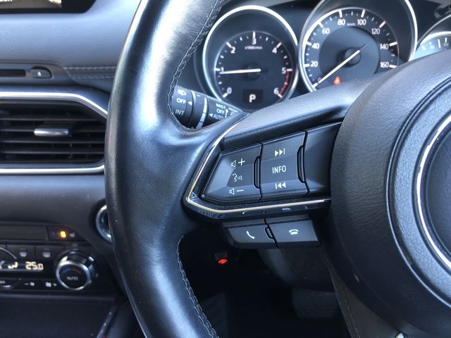 Mazda CX-8 2018-03 193347-24