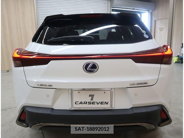 Lexus UX 2020-03 354252-24