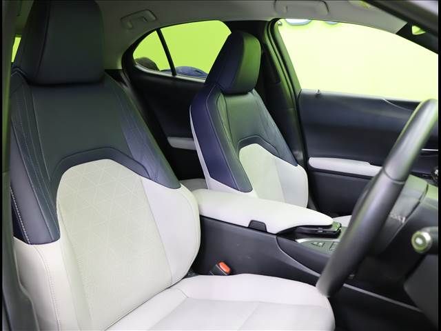 Lexus UX 2019-02 192892-19