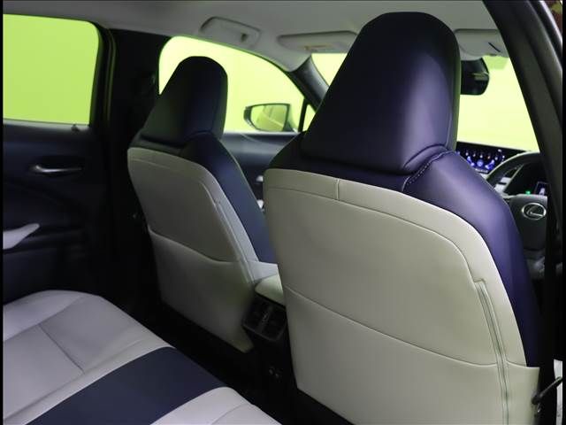 Lexus UX 2019-02 192892-22