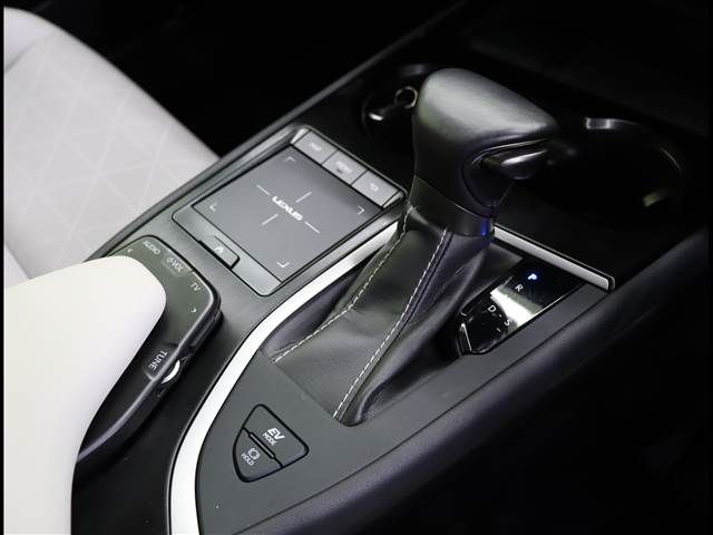 Lexus UX 2019-02 192892-11