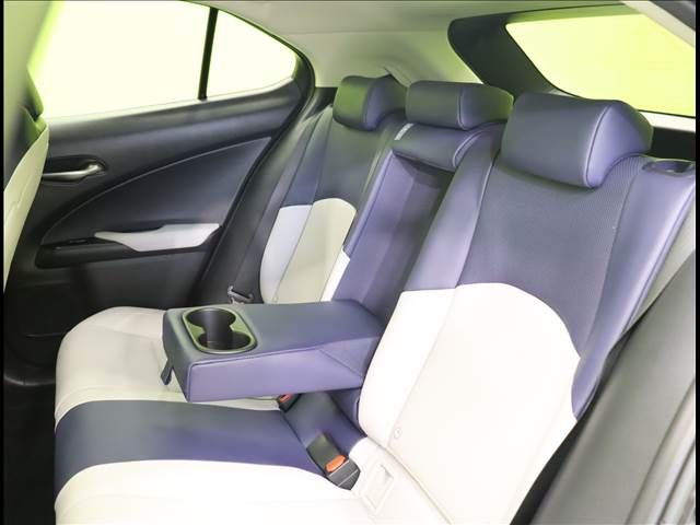 Lexus UX 2019-02 192892-27