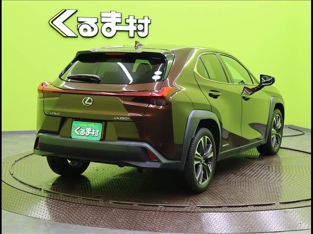 Lexus UX 2019-02 192892-1