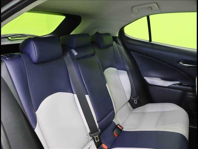 Lexus UX 2019-02 192892-23