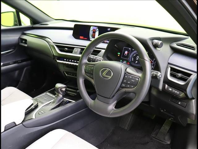 Lexus UX 2019-02 192892-17