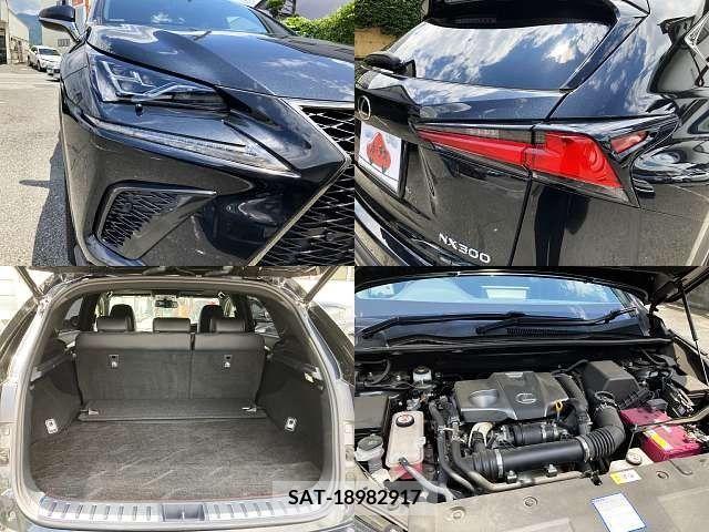 Lexus NX 2018-04 275620-6