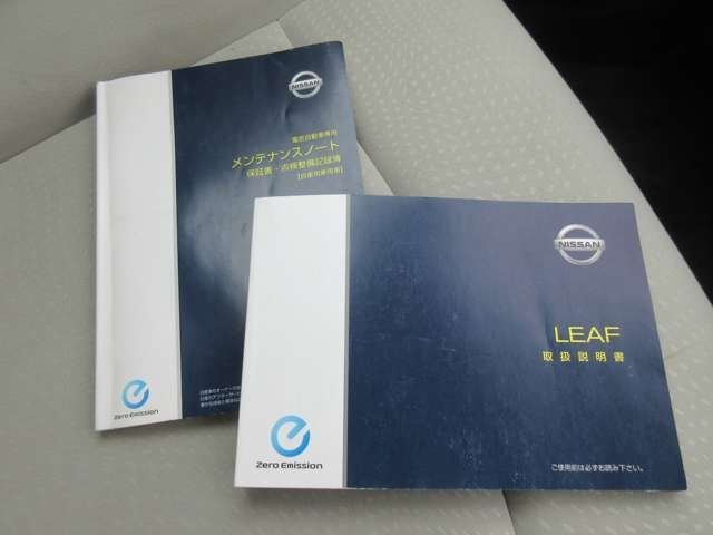 Nissan LEAF 2011-01 7560-24