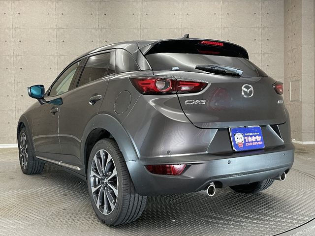Mazda CX-3 2019-06 186833-2