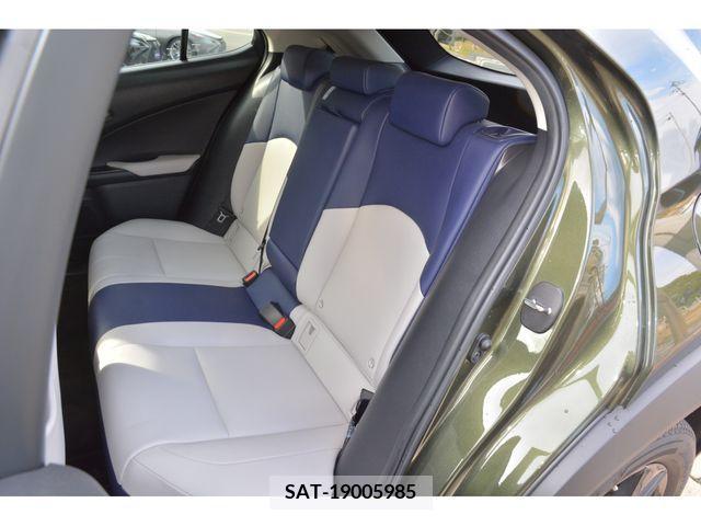 Lexus UX 2018-11 221828-17
