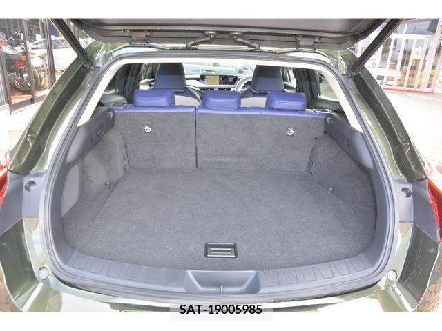 Lexus UX 2018-11 221828-18