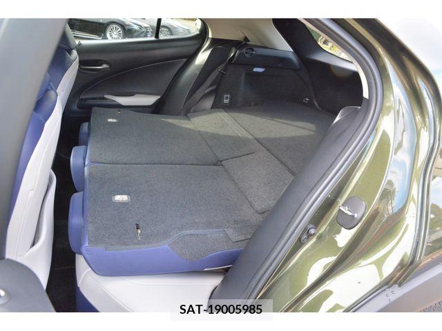 Lexus UX 2018-11 221828-19