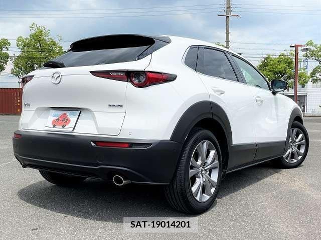 Mazda CX-30 2020-03 376267-2