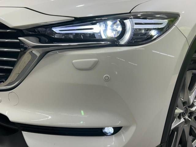 Mazda CX-8 2018-02 195424-14